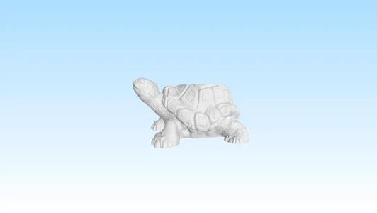mate Turtle
