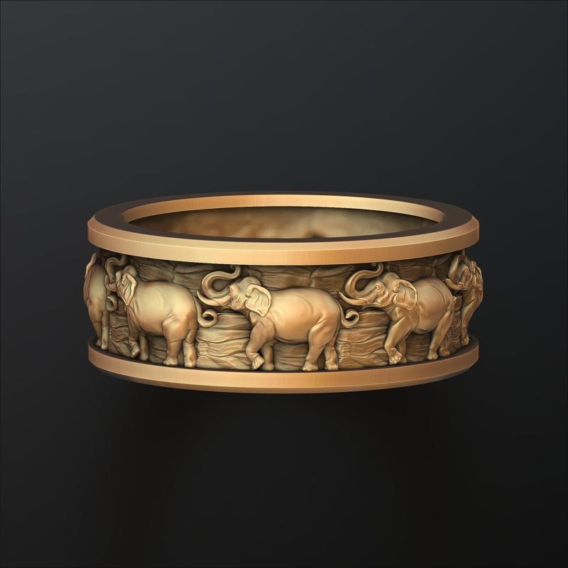 Elephant Ring 3D print model
