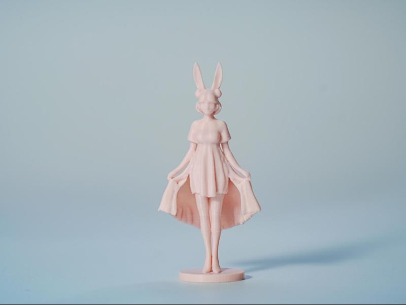Bunny girl lifting her skirt