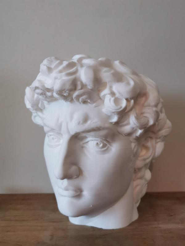 Michelangelo's David Piggy Bank