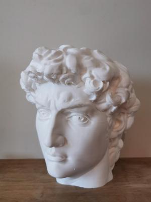 Michelangelo's David Piggy Bank