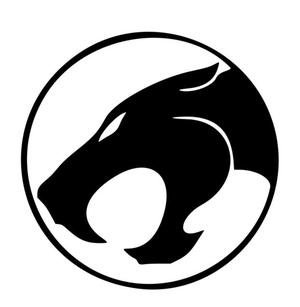 Thundercats Ho!