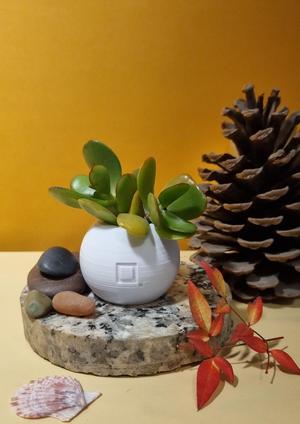 souvenir pot
