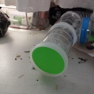 plug for the hamster tunnel