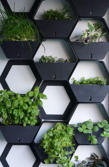 Hexagonal wall planter