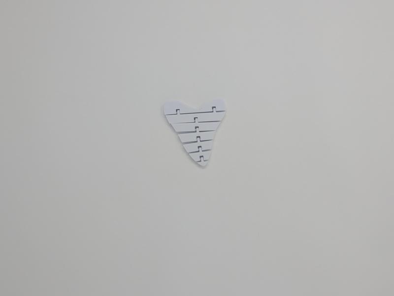 flexi shark tooth flexi toy