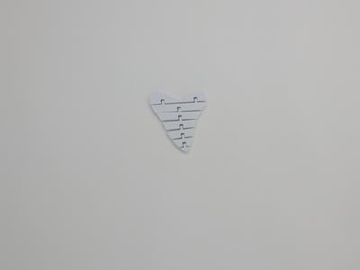 flexi shark tooth flexi toy