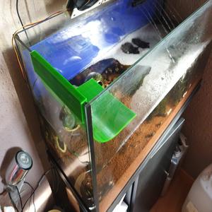 rampa agua acuario