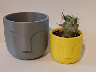Stone Face Vase