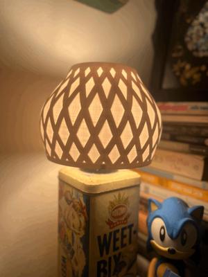 CrossBeam Lamp Shade