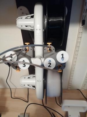 Reversed Numbers for AMS Lite