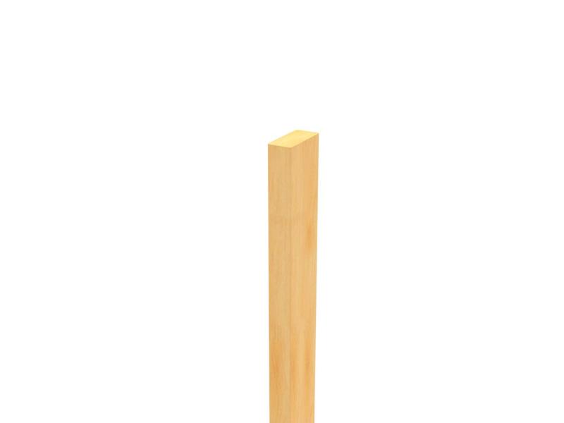Scale 2x4