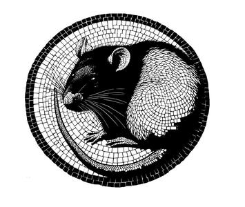 Rat mosaic 2 (two colours)