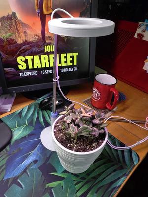 Grow light stand