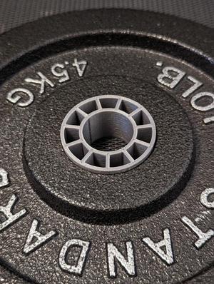 Parametric dumbbell plate adapter