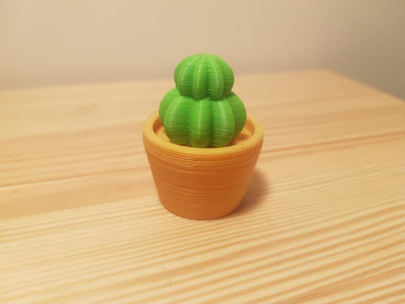 Mini Cactus pot