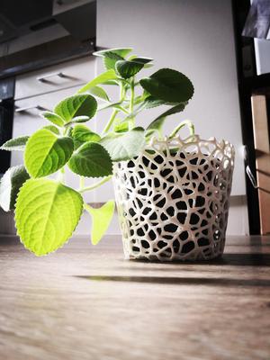 Voronoi flower pot (3 types)