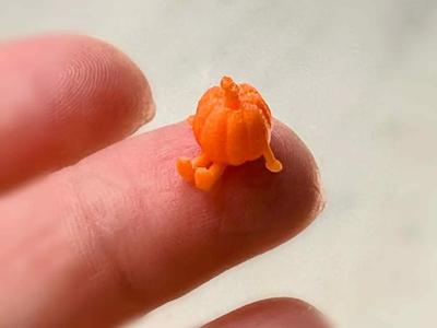 Mini Pumpkin Buddy 