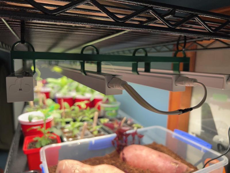 Barrina T5 4x Light Holder