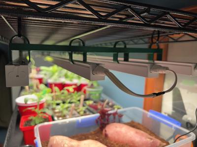 Barrina T5 4x Light Holder