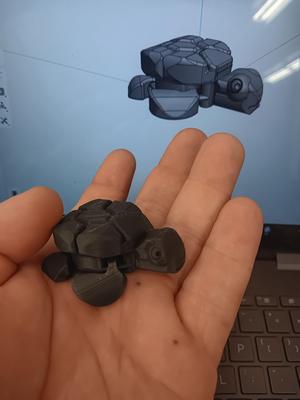 Articulated Turtle (BDias)