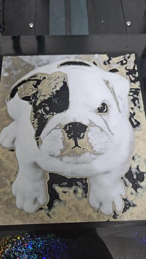 English Bulldog Puppy