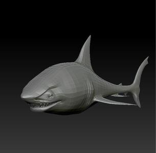 Shark