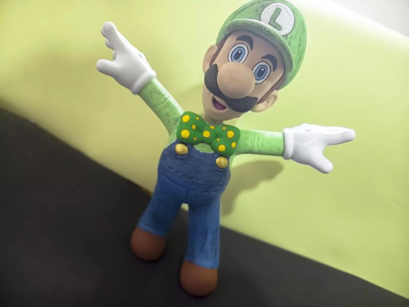 SUPER LUIGI ODYSSEY NO SUPPORTS