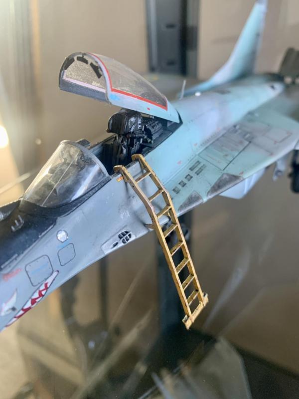 Mig-29 Boarding Ladder