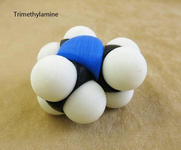 Space-filling molecular models:  Nitrogen expansion set