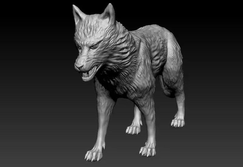 Wolf High Poly