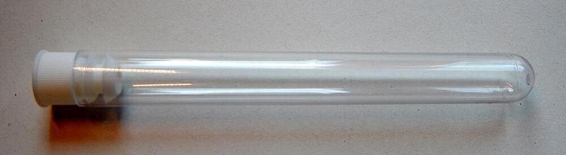 Wild bees observation photo video