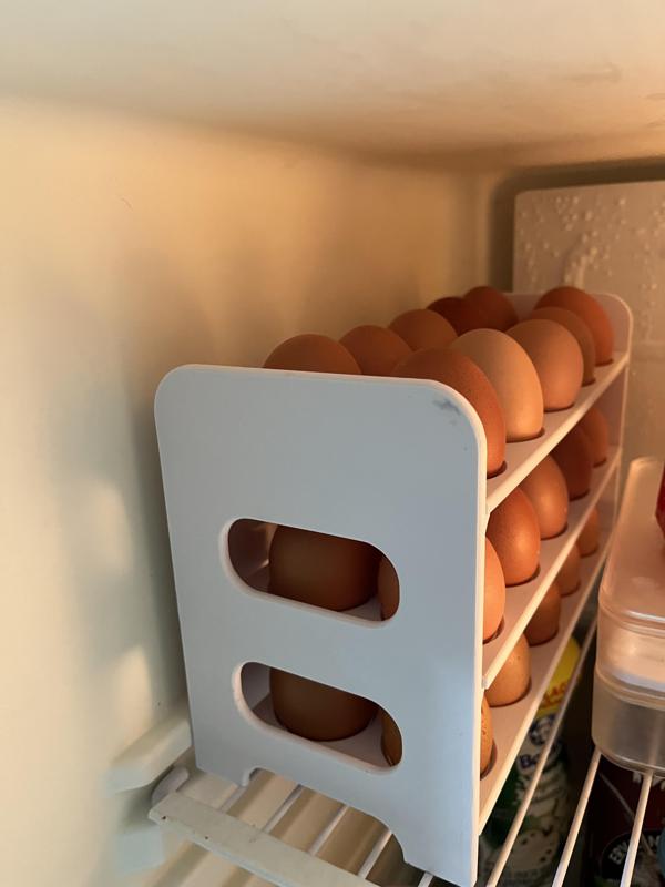 24 - Smart Egg Dispenser / Storage