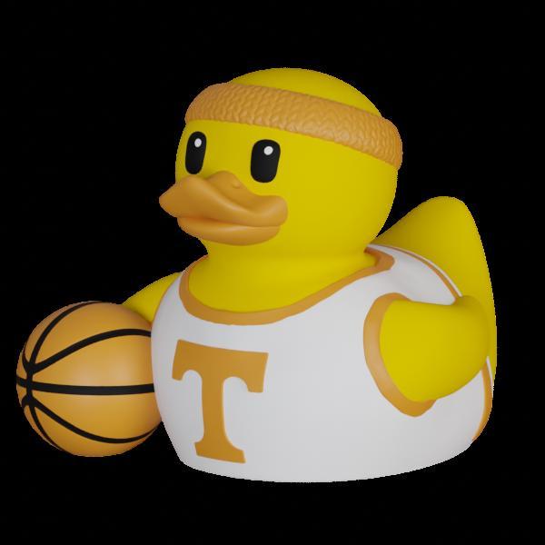 Basketball-Tennessee Volunteers