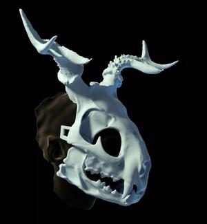 Druid skull mask that fits a human face