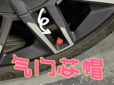 Heart Valve Cap