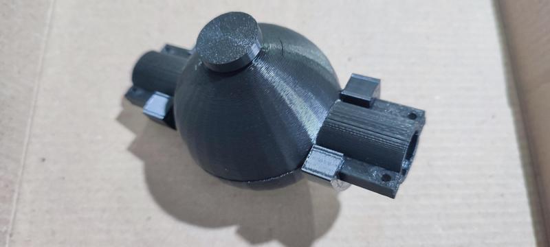 Aerial Rooting Capsule