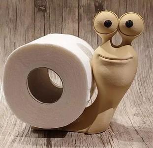 toilet roll snail