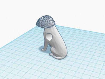 Brain on Dog