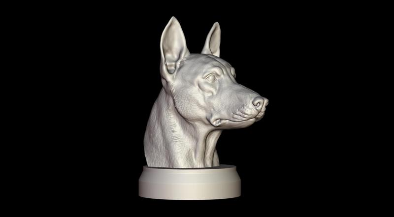 Belgian Shepherd Malinois Bust