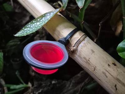 magnetic holder for Beatle Jelly Cups