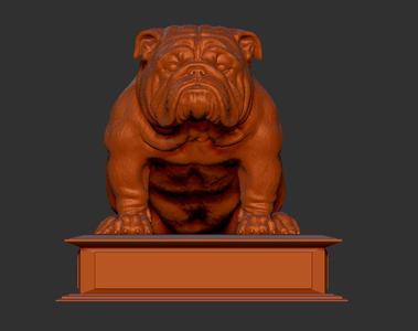 English Bulldog Sitting