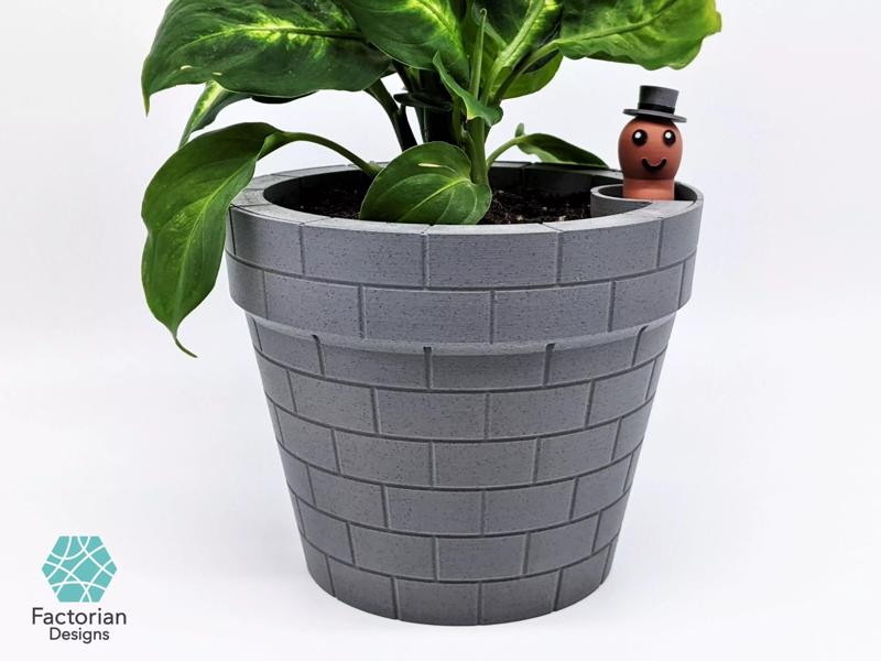 Self-Watering Plant Pot with a Gentleman Earthworm Companion