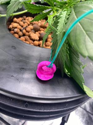 DWC Cannabis LST Tie Down anchor Point Eye Bolt