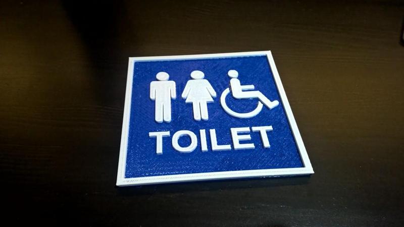 Toilet shield 