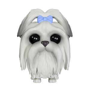 Shih Tzu pop