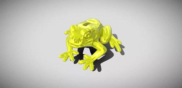 frog  model