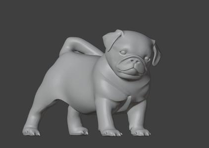 dog