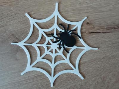 Spider & web decor
