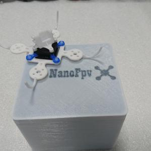 Brushless Whoop